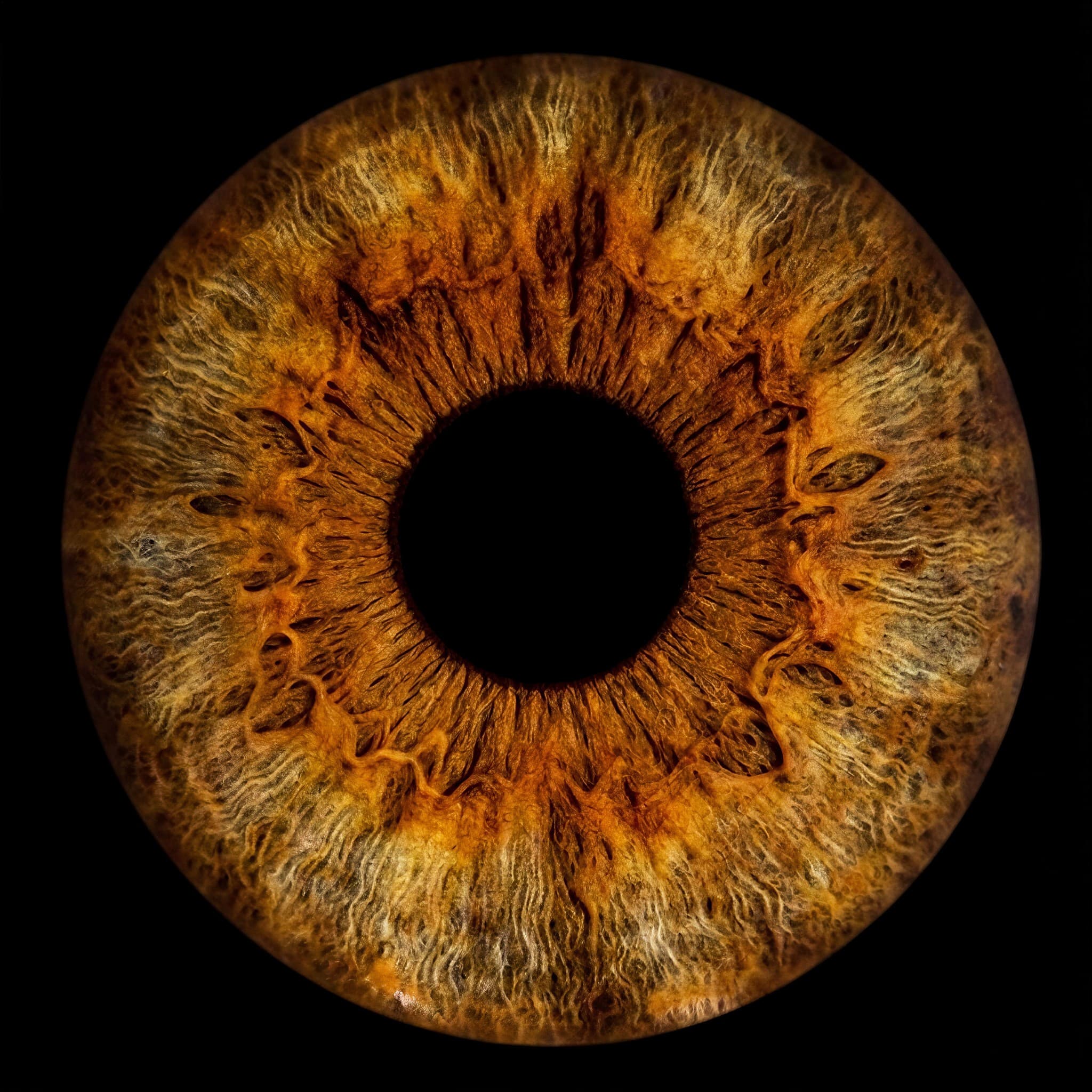 Iris artwork example 2