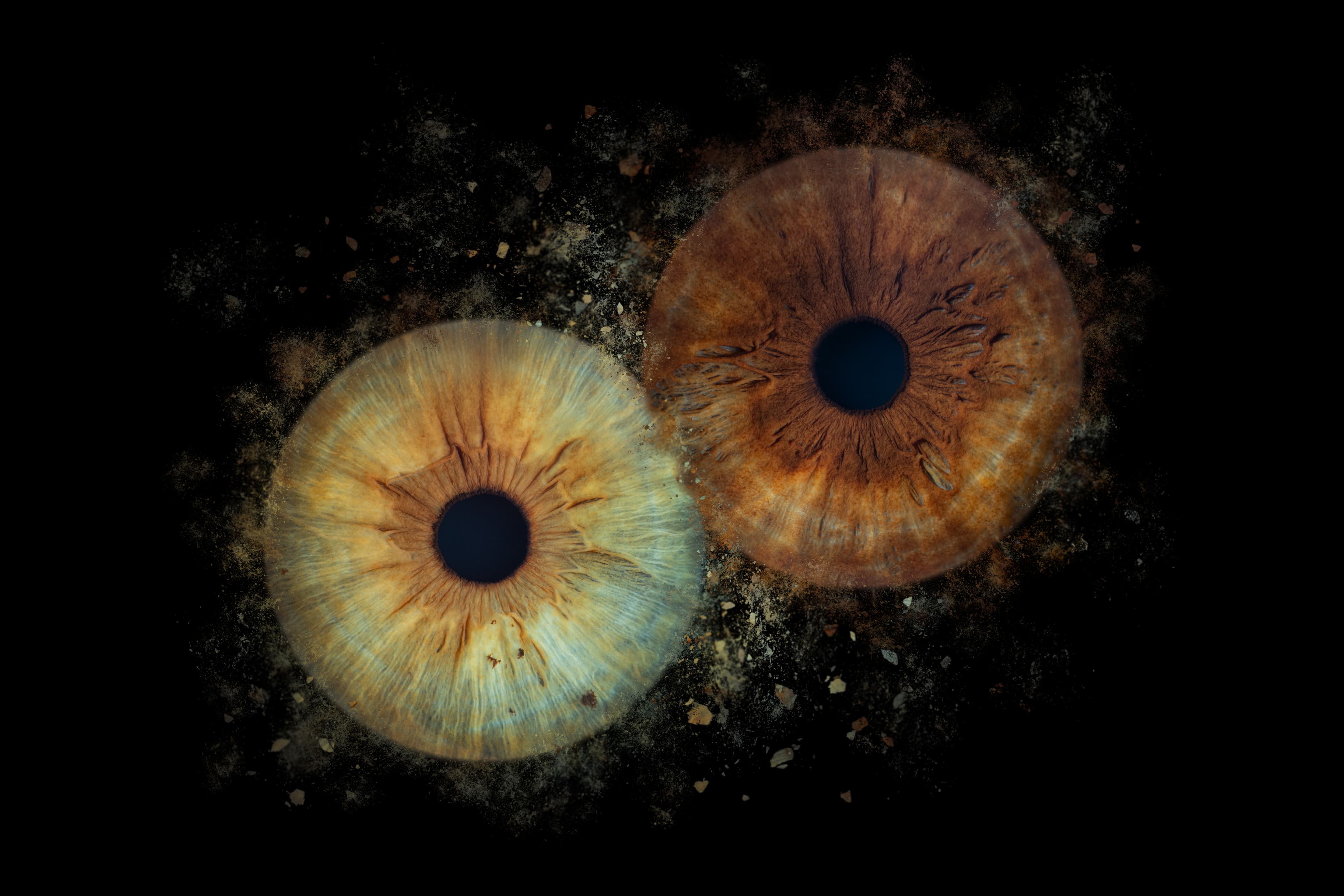Iris artwork example 3
