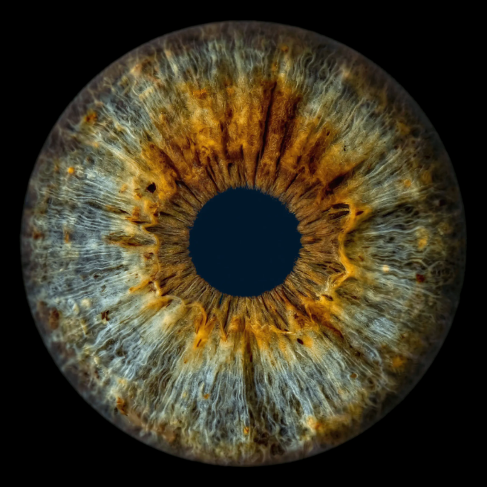 Layout base - digital-only-1