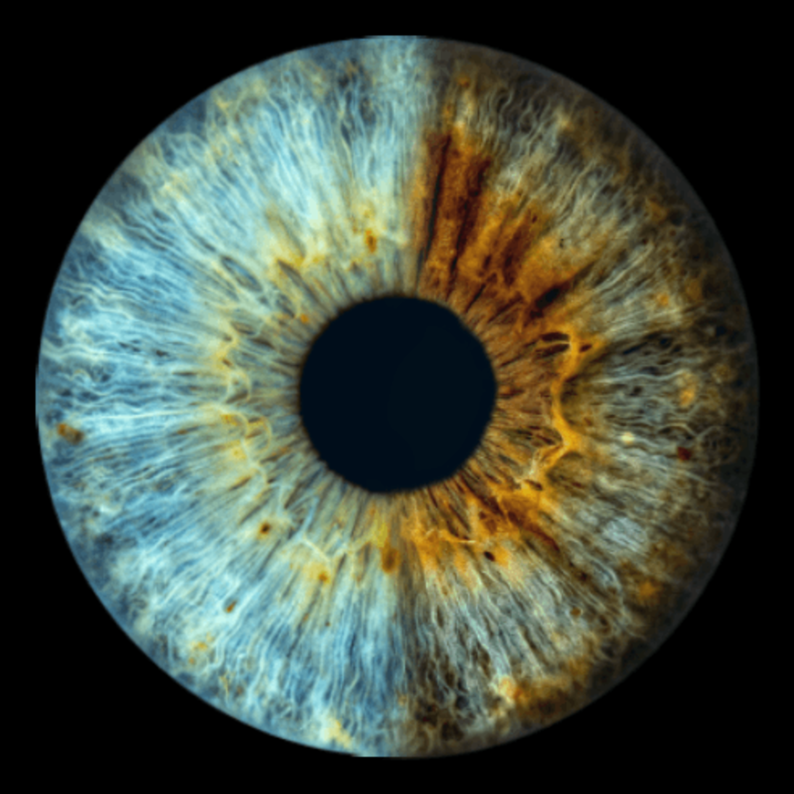 Layout 50-50 - digital-only-1