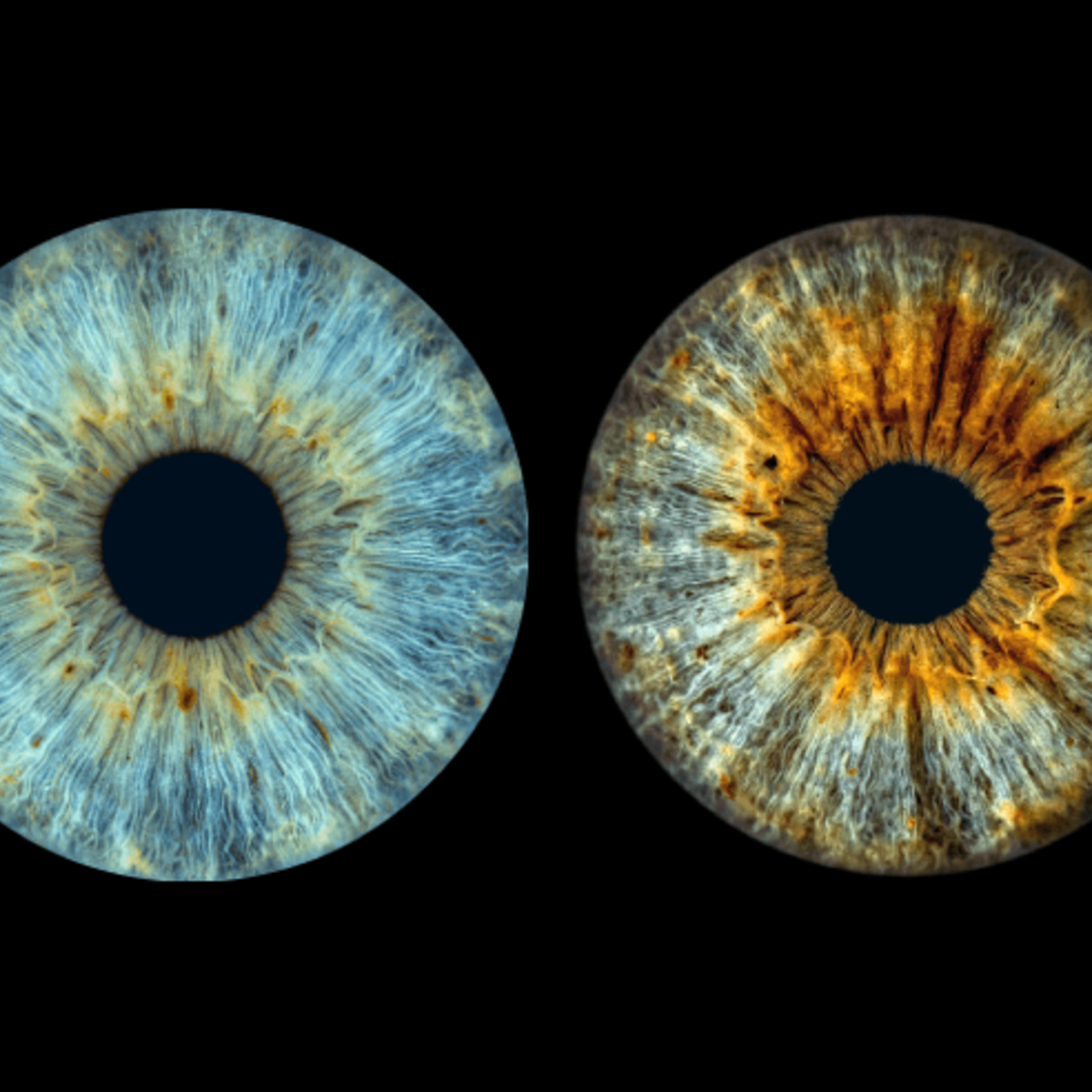 Layout base-complete-horizontal - digital-only-1