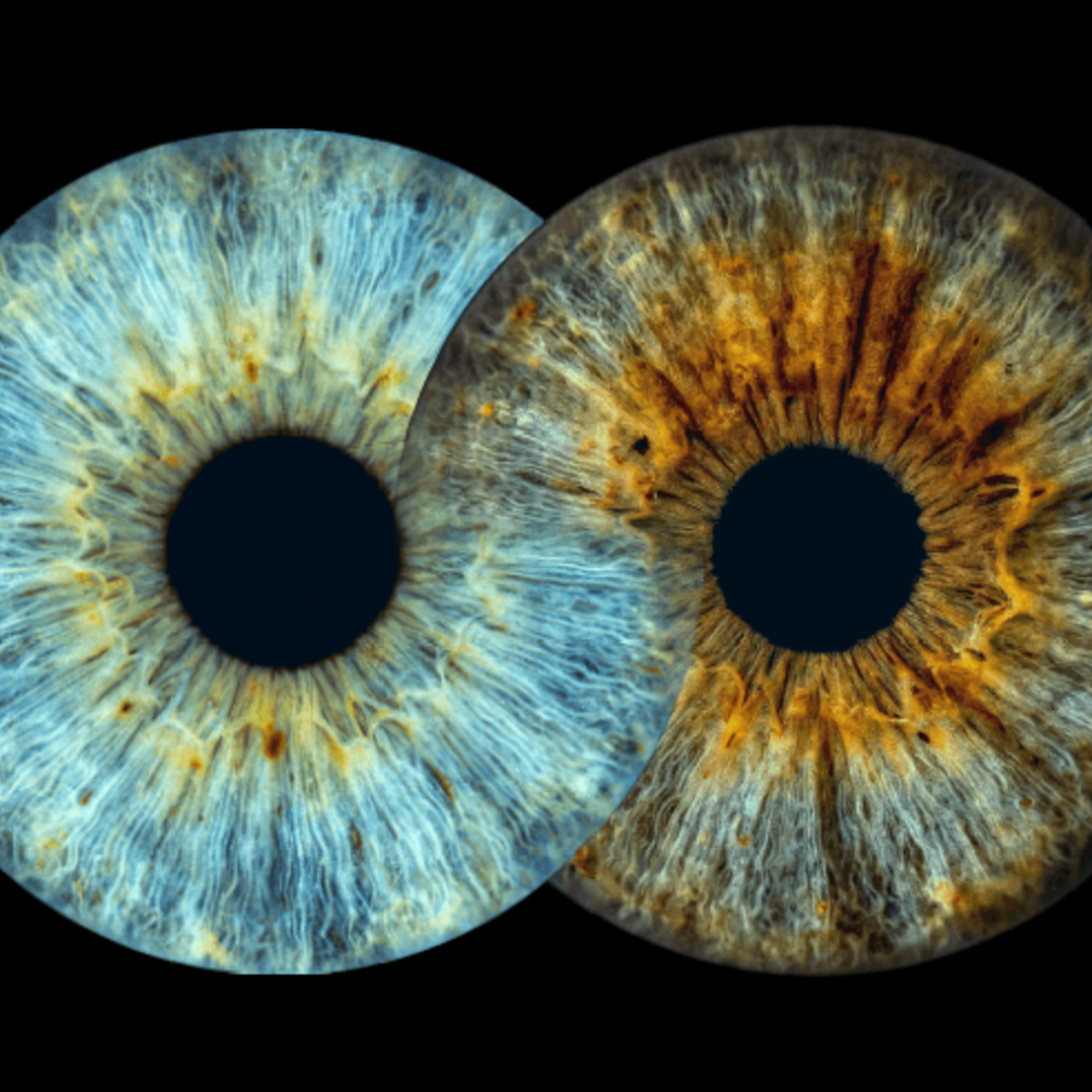 Layout infinity - digital-only-1